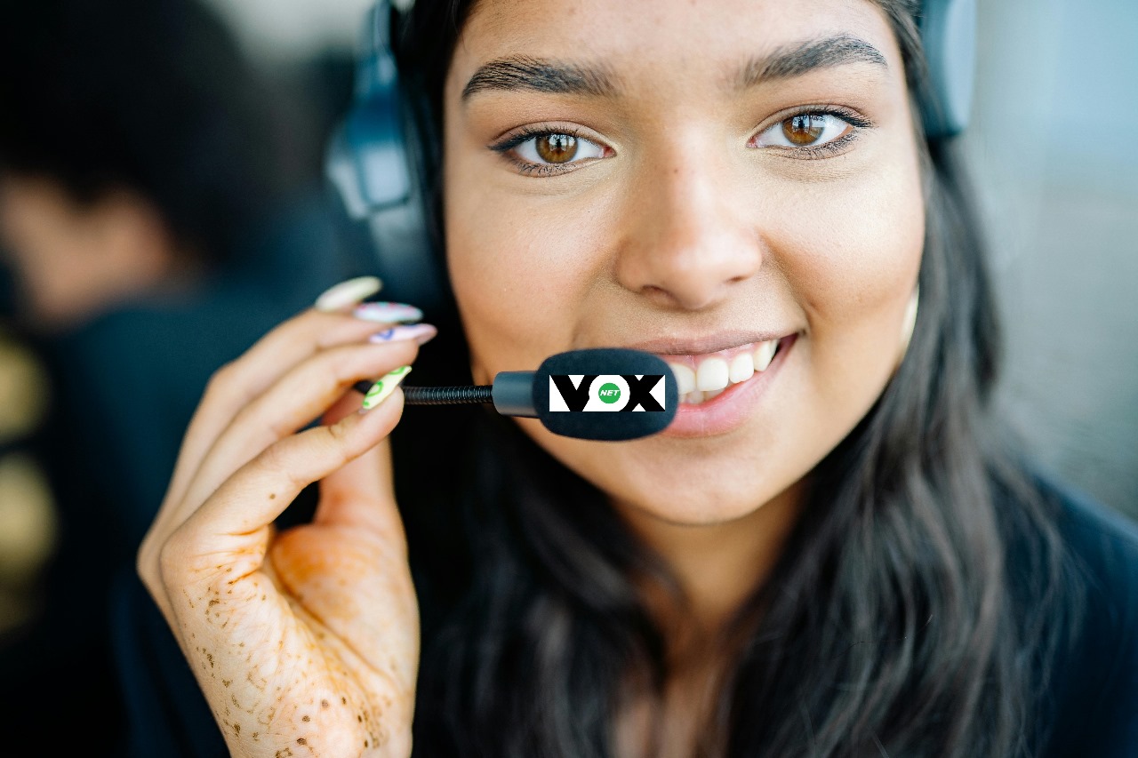 Image d'accueil Voxnet